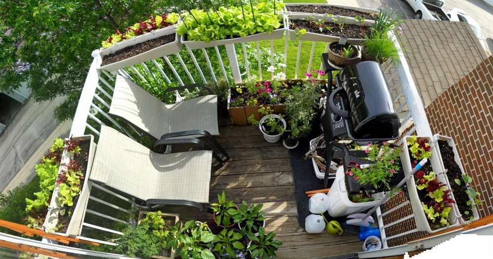Балкон-теплица: создаем зону для выращивания растений и отдыха