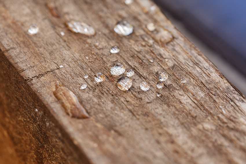 Что нужно знать о влажности древесины при ее использовании в строительстве