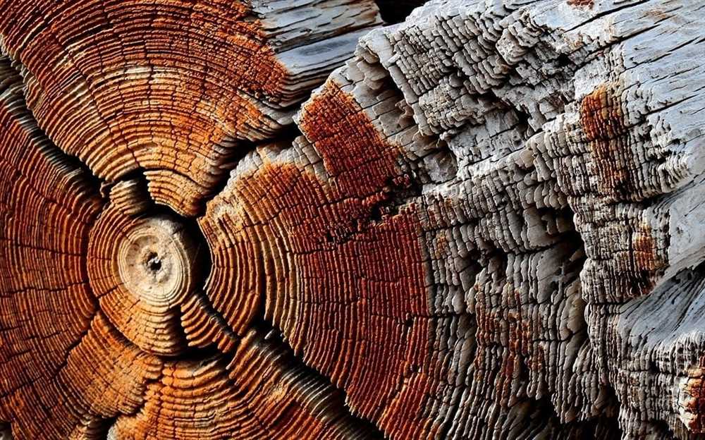 Как использовать дерево для создания экологически чистого интерьера