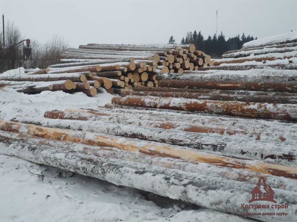 Как использовать древесину в экологически чистом строительстве