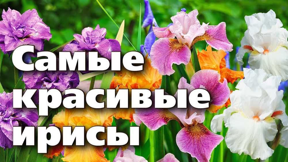 Советы