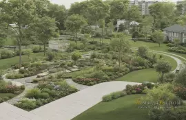 Хвойные композиции круглый год