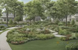 Как правильно посадить дерево