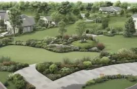 Лимонник китайский — лиана здоровья