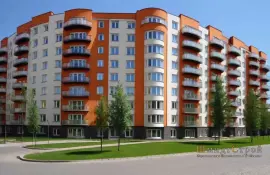 Как выбрать участок рядом с лесополосой