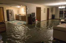 Что делать, если затопило квартиру: пошаговая инструкция по сушке и защите от плесени