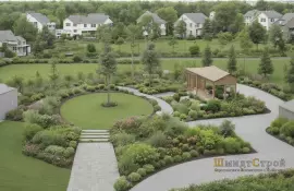 Ива: изящество и движение