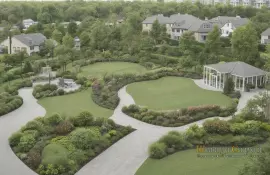 Ошибки при уходе за кустарниками