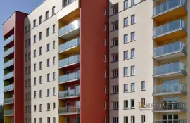 Музейные пространства с иммерсивными технологиями