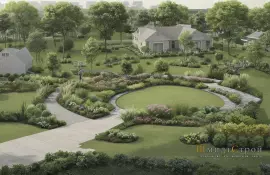 Растения для жаркого климата