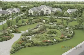 Ошибки при посадке теневых растений