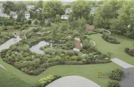 Сроки цветения и их влияние на ландшафт